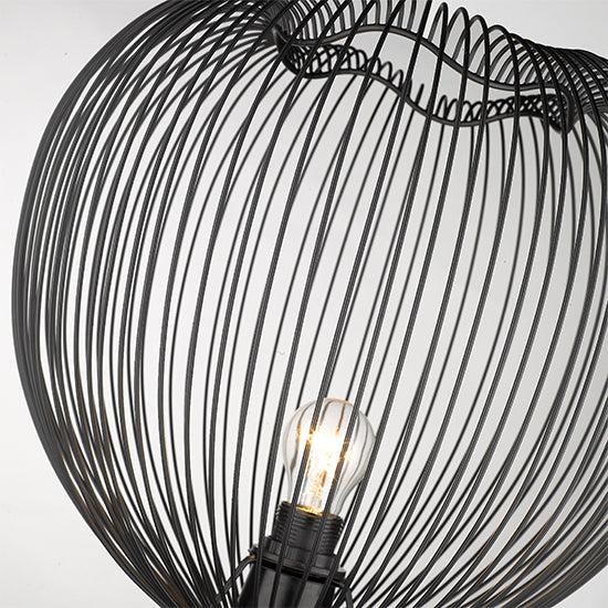 Dollis 1 Bulb Wire Birdcage Effect Floor Lamp In Matt Black