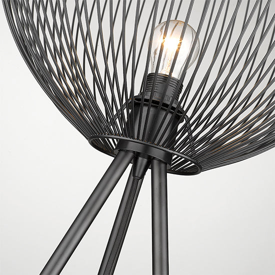 Dollis 1 Bulb Wire Birdcage Effect Floor Lamp In Matt Black