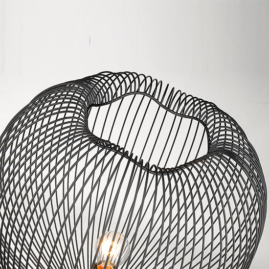 Dollis 1 Bulb Wire Birdcage Effect Floor Lamp In Matt Black