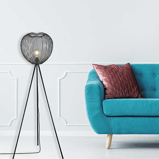 Dollis 1 Bulb Wire Birdcage Effect Floor Lamp In Matt Black